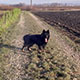 gracy